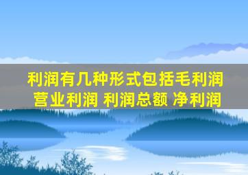 利润有几种形式包括毛利润 营业利润 利润总额 净利润